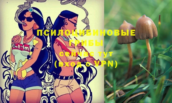 марихуана Шарыпово